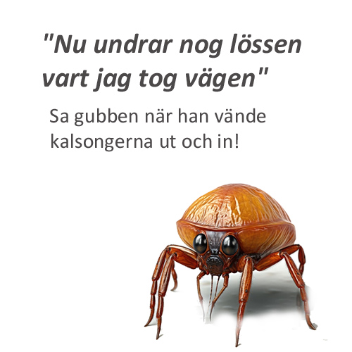 lus